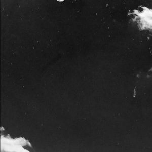 Meet your Posher, Logan