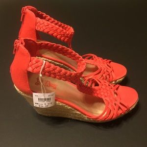 Coral wedges