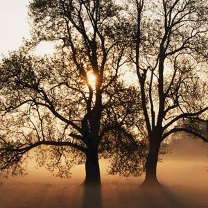 Meet your Posher, Timothy