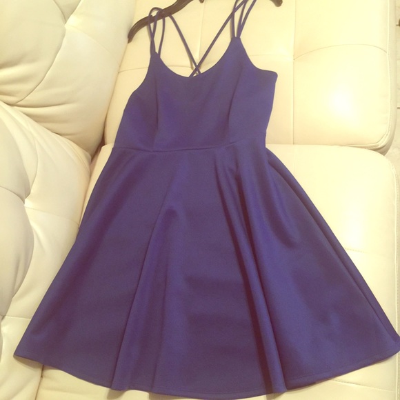 Royal Blue by Finn and Clover