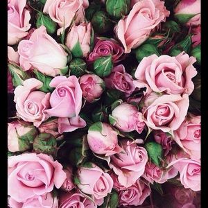 Meet your Posher, Kimberly