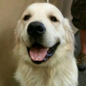 Meet your Posher, Monica