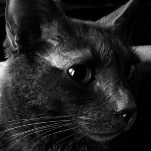 Meet your Posher, Beth