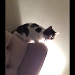 Meet your Posher, Emma