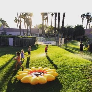 Meet your Posher, Lacey