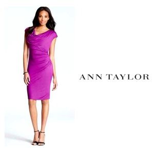 NWT Ann Taylor Magenta Cowlneck Jersey Dress