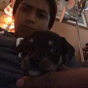 Meet your Posher, Daniel