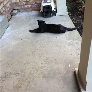 Meet your Posher, Tom