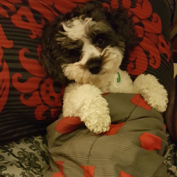 Welcome to my Closet! 💐 - Picture 5 of 14