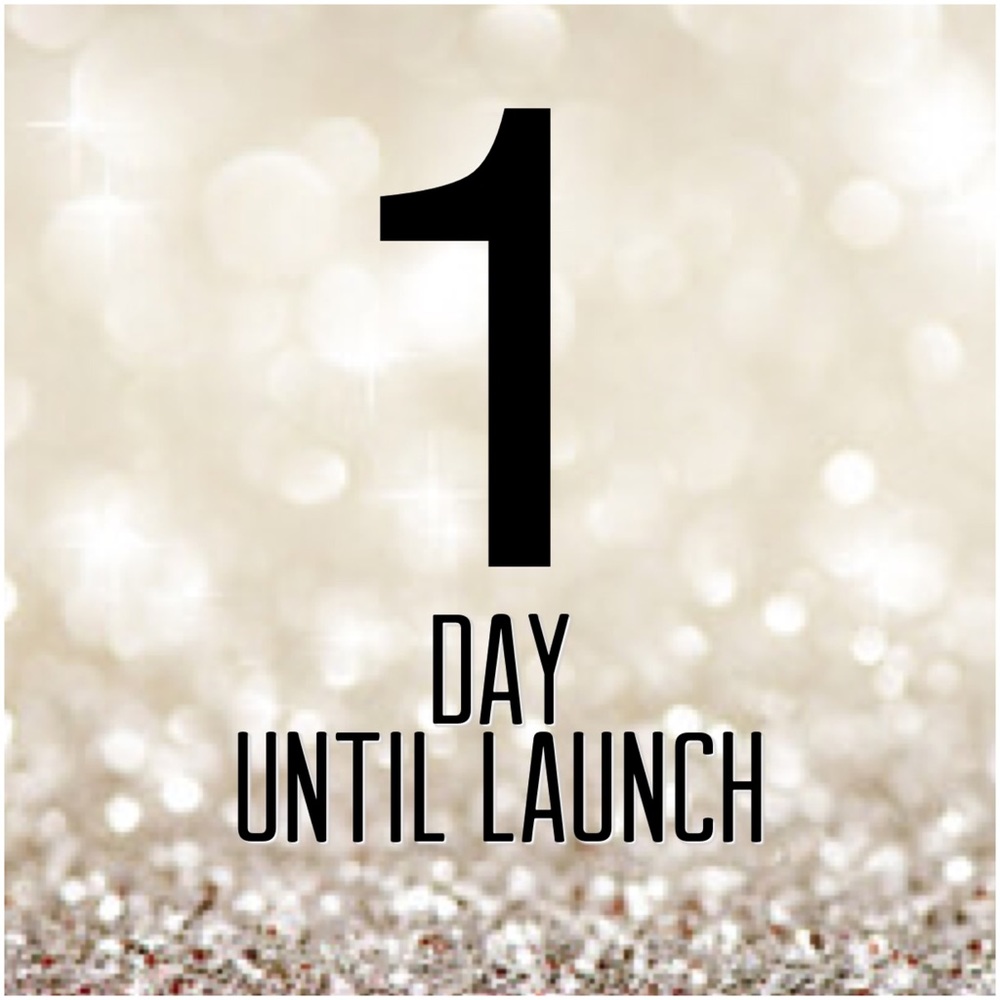 1 DAY 'TIL LAUNCH!!🎉 BOUTIQUE COMING SOON!!!👗👚 - Picture 3 of 3