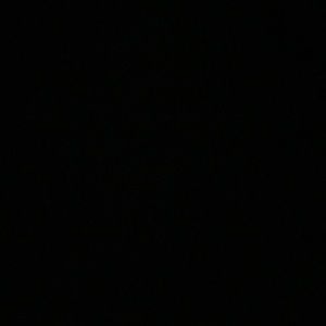 Meet your Posher, Carson