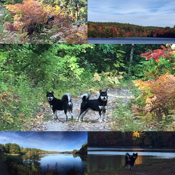 🌟 Meet your Posher 🌟 - Picture 1 of 4