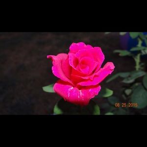 Meet your Posher, Hope