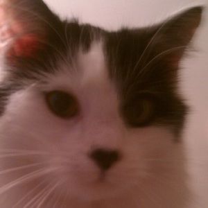 Meet your Posher, Maryjane