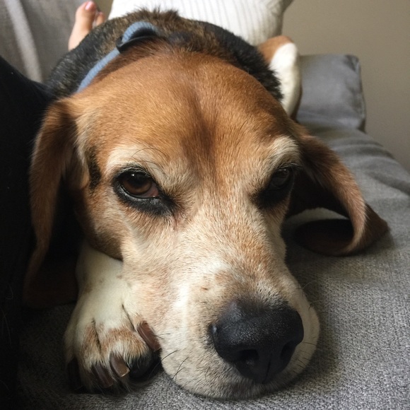 Meet your Posher, Stephanie - Picture 1 of 1