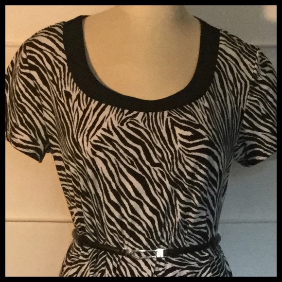 ⬇️Chico's Zebra Print Dress