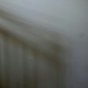 Meet your Posher, Lakeshia