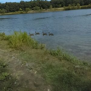 Meet your Posher, Reyes