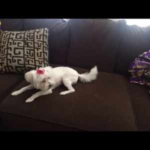 Meet your Posher, Wendi