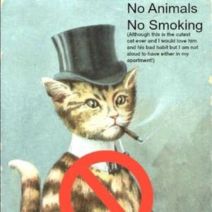 ❌🐶🐱❌🚬❌