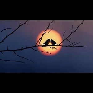 Meet your Posher, Chloe