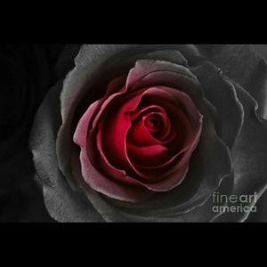 Meet your Posher, Marta