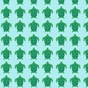 Meet your Posher, Terri