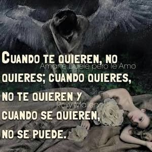 Meet your Posher, Sandy