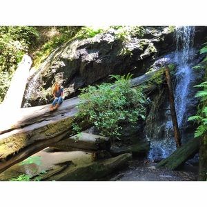 Meet your Posher, Sierra