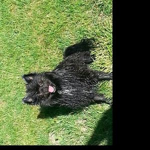 Meet your Posher, Jo