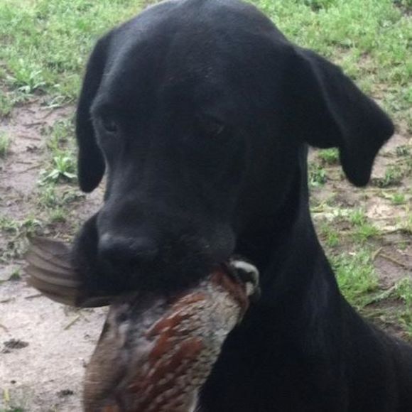 Meet your Posher, Margaret - Picture 1 of 1