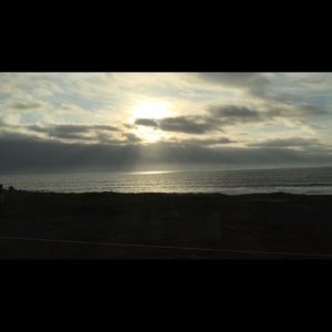 Meet your Posher, Patty