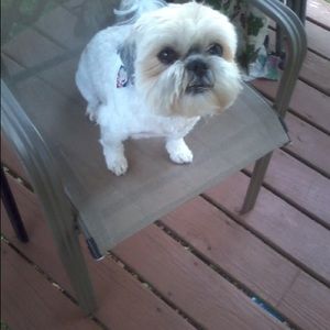 Meet your Posher, Katy