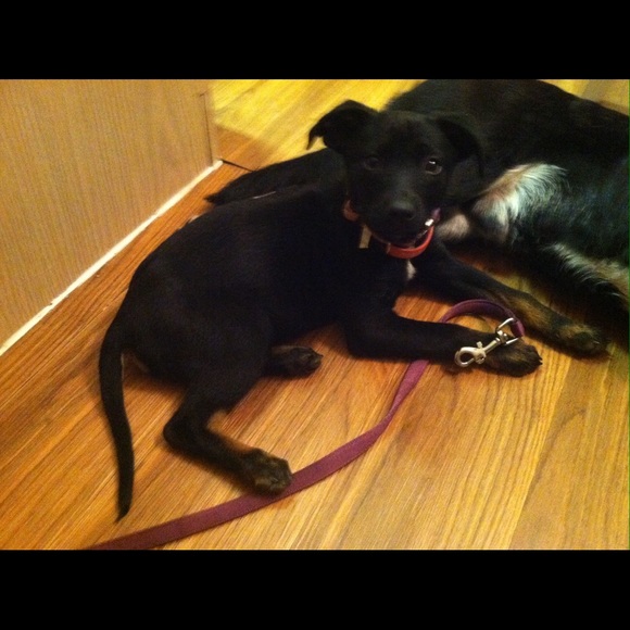 Meet your Posher, Meghan