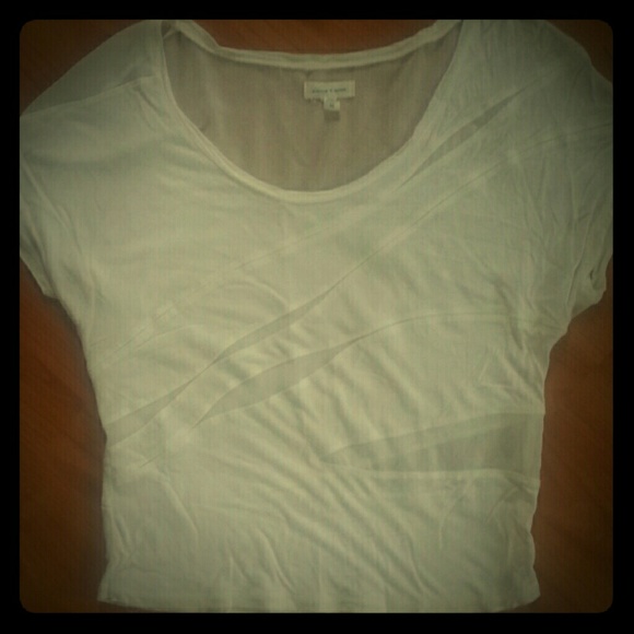 White, Mesh Crop Top Tee