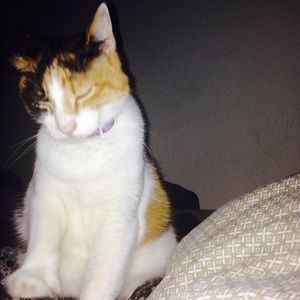 Meet your Posher, Kay