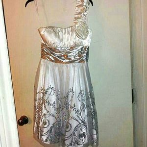 Silver and White banquet dress