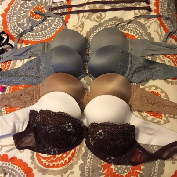 34/36B BRA