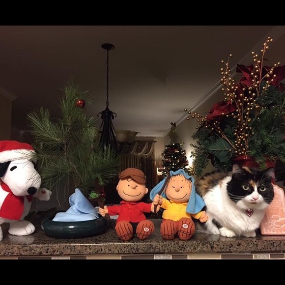 🌷Meet your seller🌷 - Picture 5 of 8