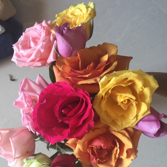 Meet your Posher, Lola - Picture 2 of 2