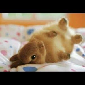 Meet your Posher, Jaewon