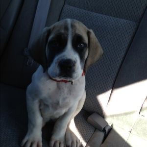 Meet your Posher, Katlyn