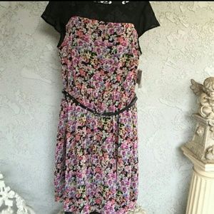 NWT! Feminine, timeless dress!