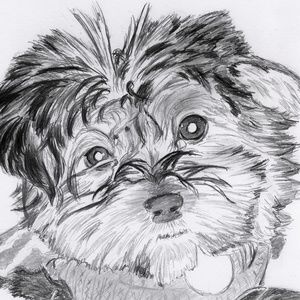 Meet your Posher, Marci