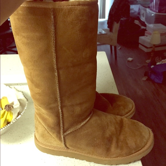 Classic tall chestnut uggs