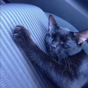 Meet your Posher, Tyler