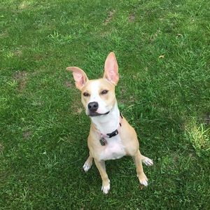 Meet your Posher, Justin