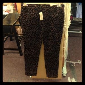 Ann Taylor Loft cheetah print suede jeans