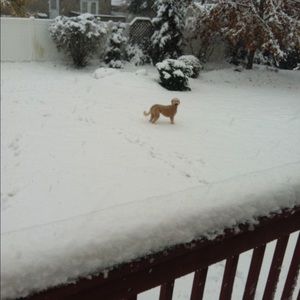 Meet your Posher, Vanessa