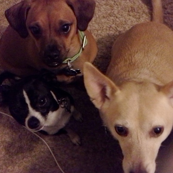 Meet your Posher, Lorie